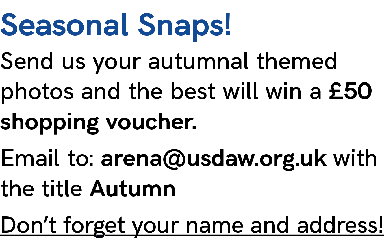 Seasonal Snaps! Send us your autumnal themed photos and the best will win a £50 shopping voucher. Email to: arena@usd...